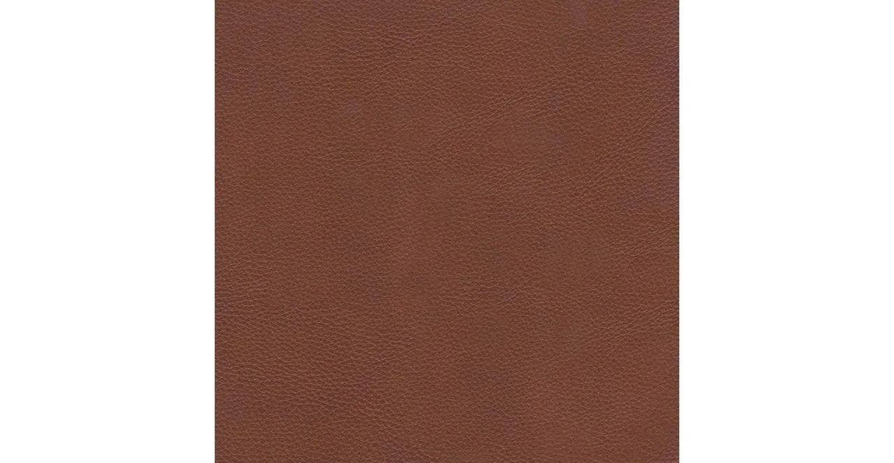 Dillon Leather Sofa Collection