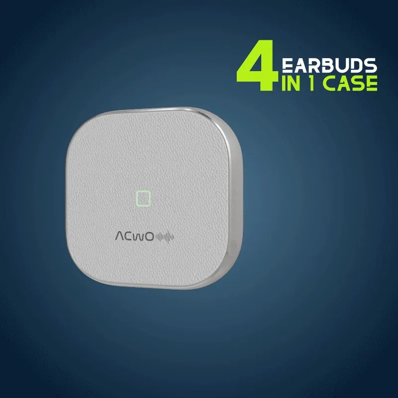 DwOTS Fire : Silver Earbuds