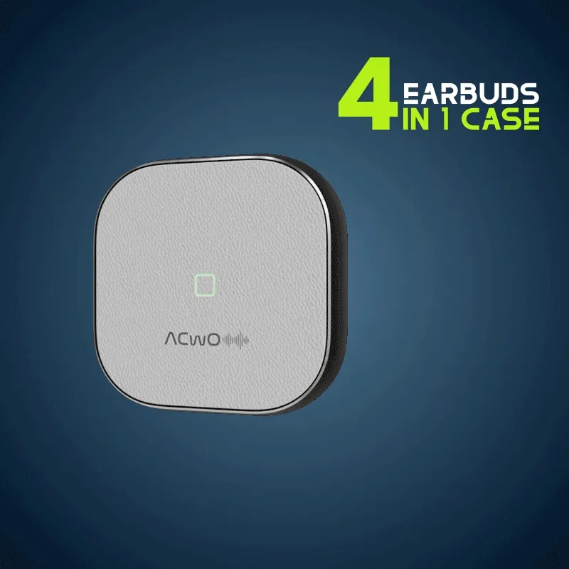 DwOTS Fire : Silver Earbuds