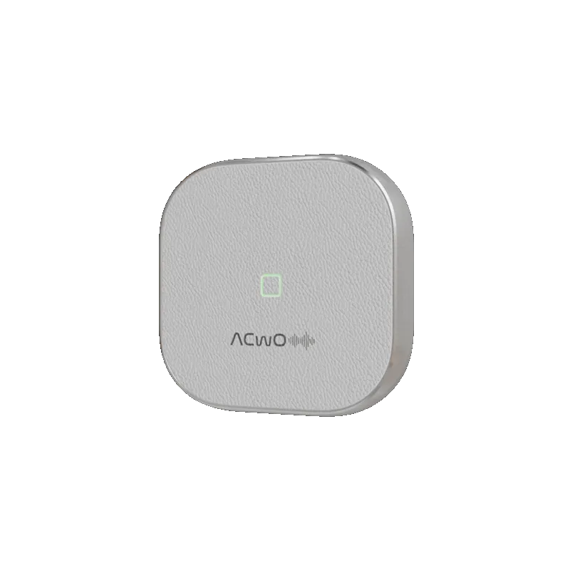 DwOTS Fire : Silver Earbuds