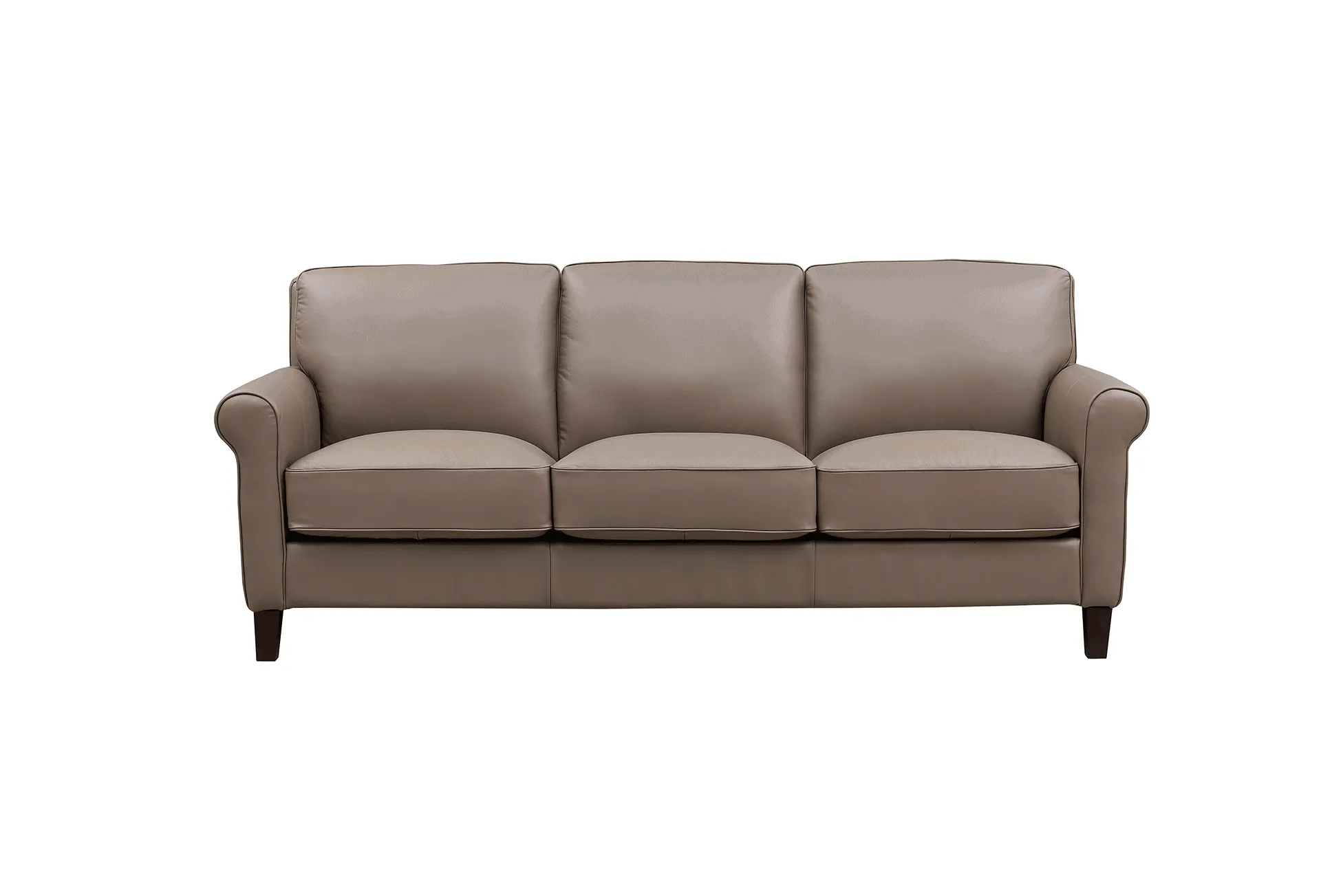 Laguna Leather Sofa Collection